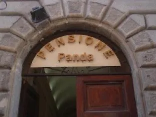 Panda Řím