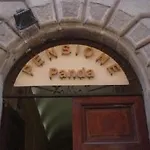 Panda Rome