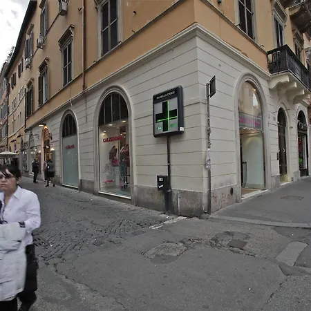 Panda Rome